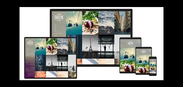 Item cover for download Coastline – WordPress Theme