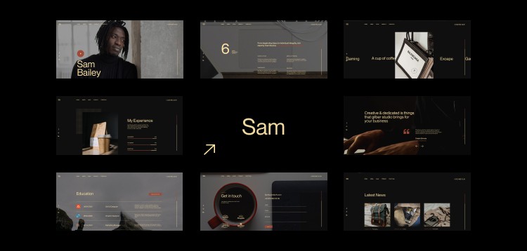 Item cover for download Sam Bailey - Personal CV/Resume WordPress Theme