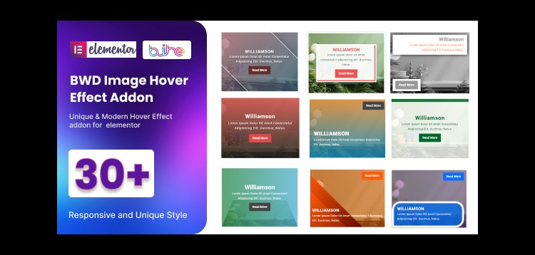 Item cover for download BWD Image Hover Effect addon for elementor