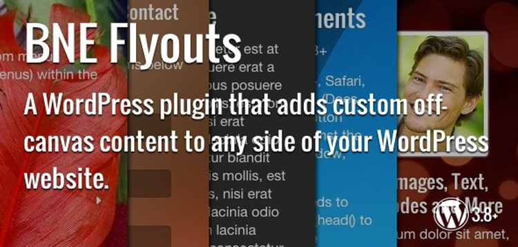 Item cover for download Flyouts - Off Canvas Custom Content for WordPress