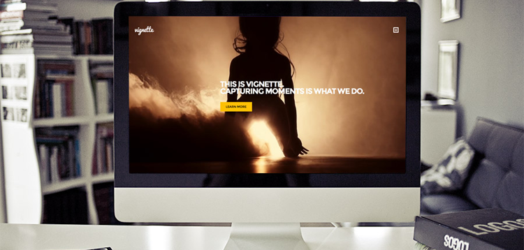 Item cover for download CSS Igniter Vignette WordPress Theme