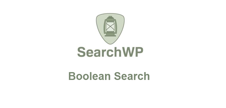 Item cover for download SearchWP – Boolean Search
