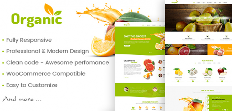 Item cover for download AmyOrganic - Organic and Healthy Theme for WordPress