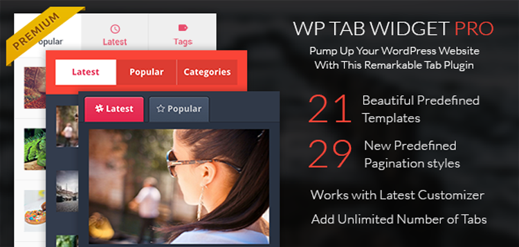 Item cover for download WP Tab Widget Pro