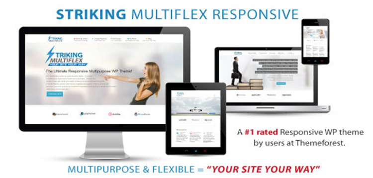Item cover for download Striking MultiFlex & Ecommerce Responsive WP Theme