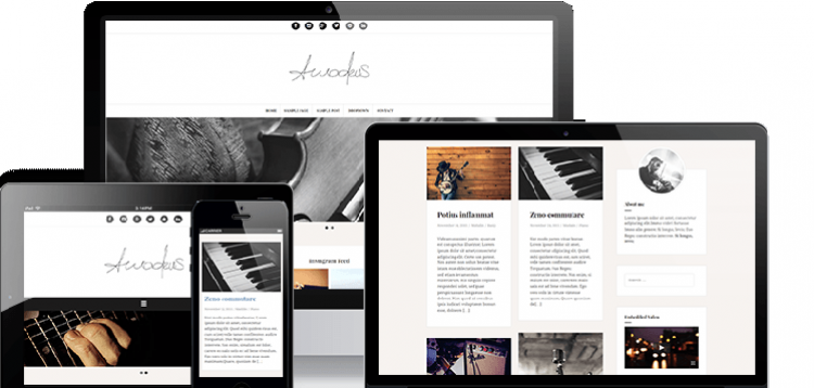 Item cover for download ThemeIsle Amadeus Pro WordPress Theme