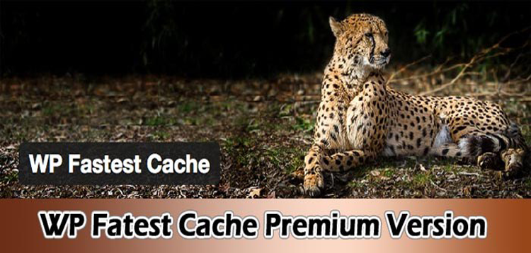 Item cover for download WP Fastest Cache Premium