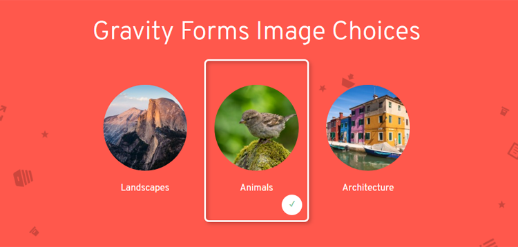 Item cover for download Jetsloth - Gravity Forms Image Choices
