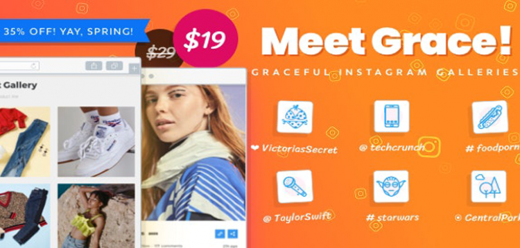 Item cover for download Instagram Feed Gallery - Grace for WordPress