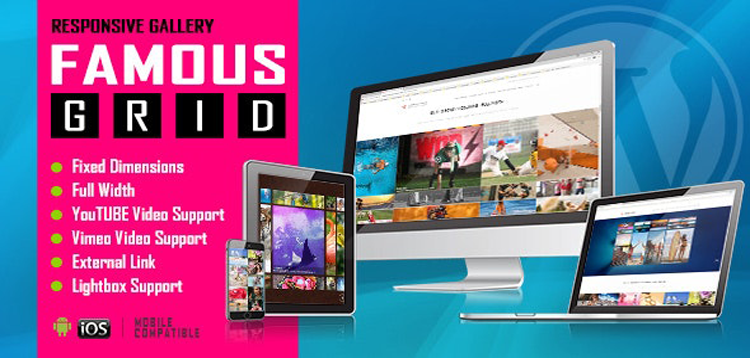 Item cover for download Famous - Responsive Image And Video Grid Gallery WordPress Plugin