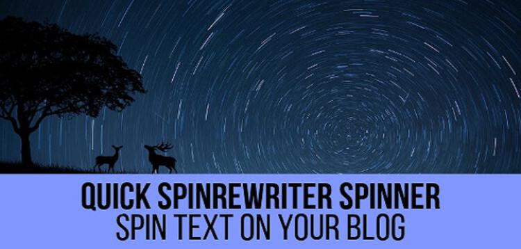 Item cover for download QUICK SPINREWRITER SPINNER WORDPRESS PLUGIN