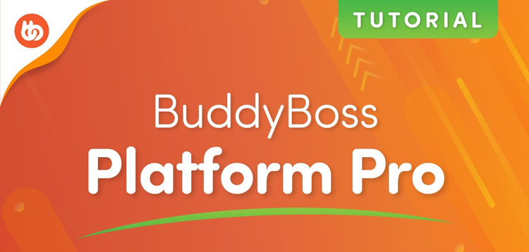 Item cover for download BuddyBoss Platform Pro
