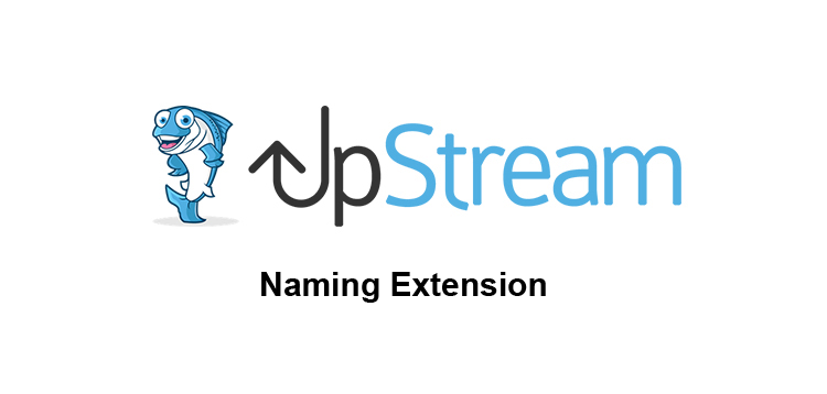 Item cover for download UpStream Naming Extension