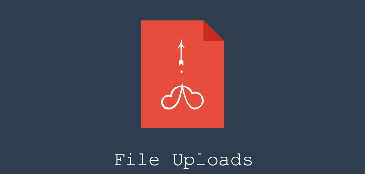 Item cover for download User Registration File Upload
