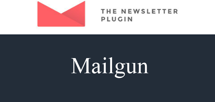 Item cover for download Newsletter Mailgun