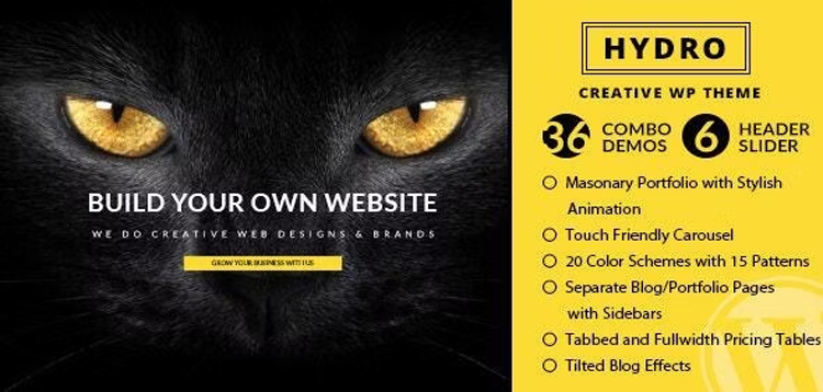 Item cover for download HYDRO - One Page Portfolio WordPress Theme