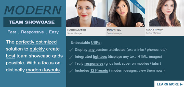 Item cover for download Modern Team Showcase WordPress Plugin